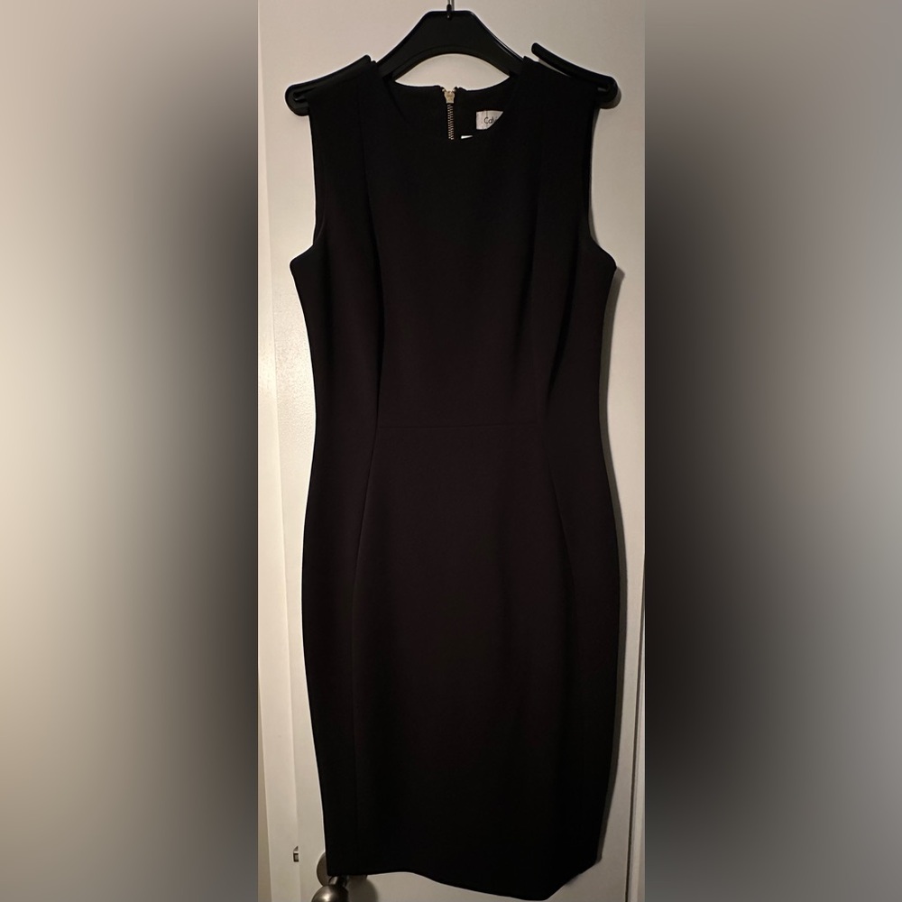 Calvin Klein Women’s Black Sheath Dress with back Gold Zipper - Sz: 4